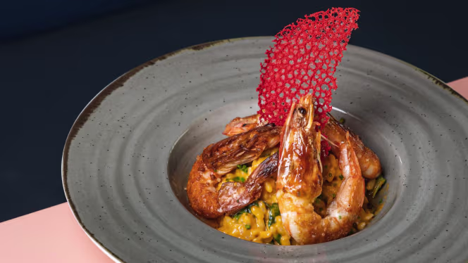 Catch Me - If you can - 0