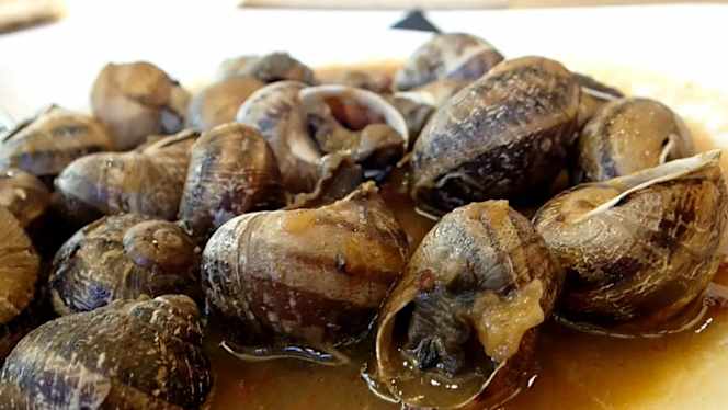 Casa Blanca - Mercat Sant Antoni - 6