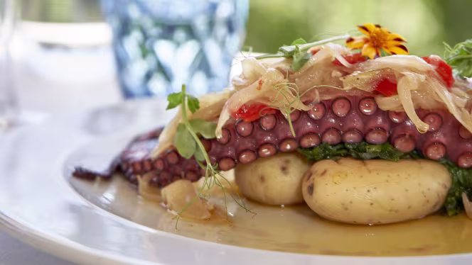 Bago Food & Wine - Arcos de Valdevez - 1