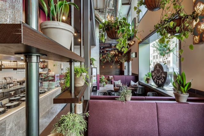 Beetnut Lagerstrasse - 7