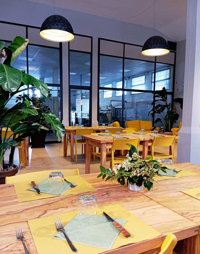 Il Ristoro del Frantoio - Frantoio del Monte Pisano - 0