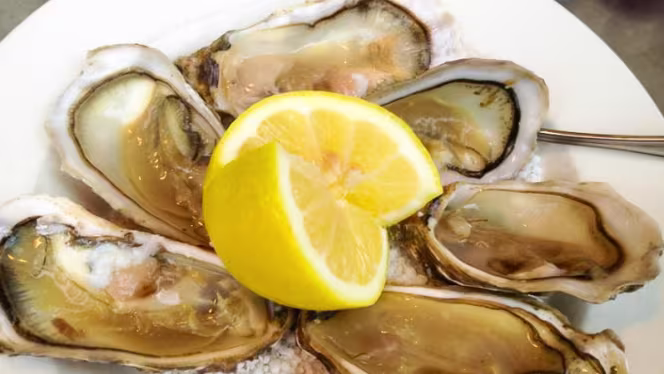 Zinc Zinc Neuilly - 2