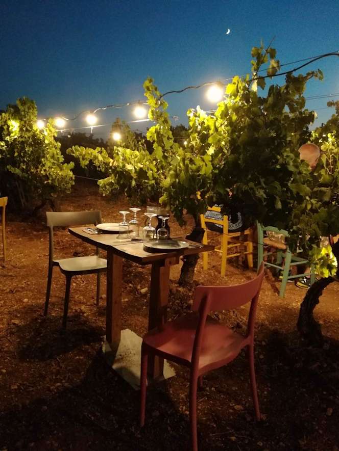 Ne cuore della vigna presso Azienda Agricola Donnalina - 5