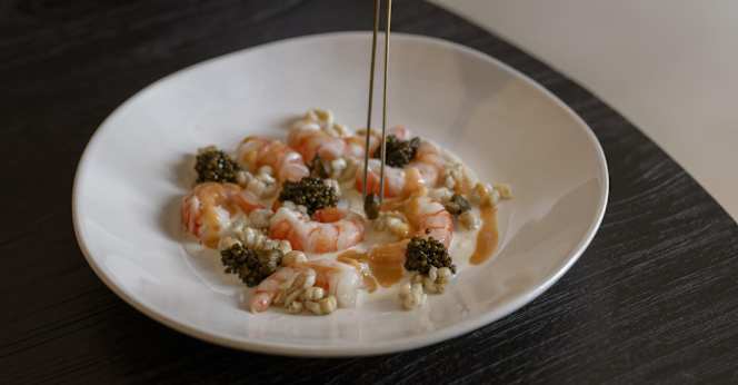 Singular - The Lodge Mallorca - 0