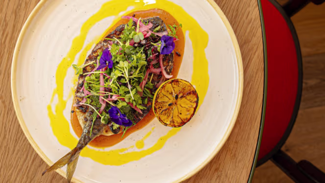 Cafe Paloma - Den Haag - 1