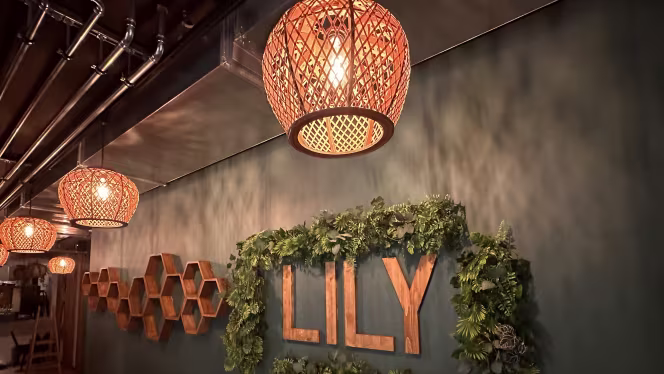 Lily - 4