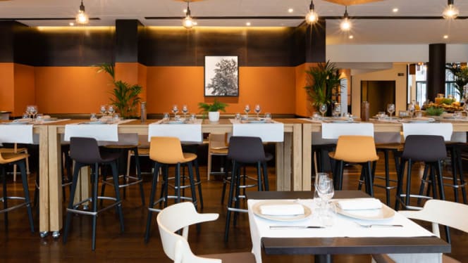 Cepia Terrasse Lounge Bar - 3