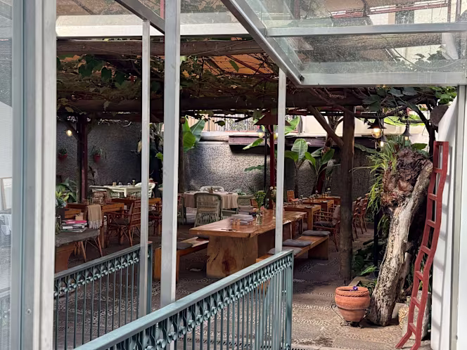 Terra Food Concept - Funchal - 0