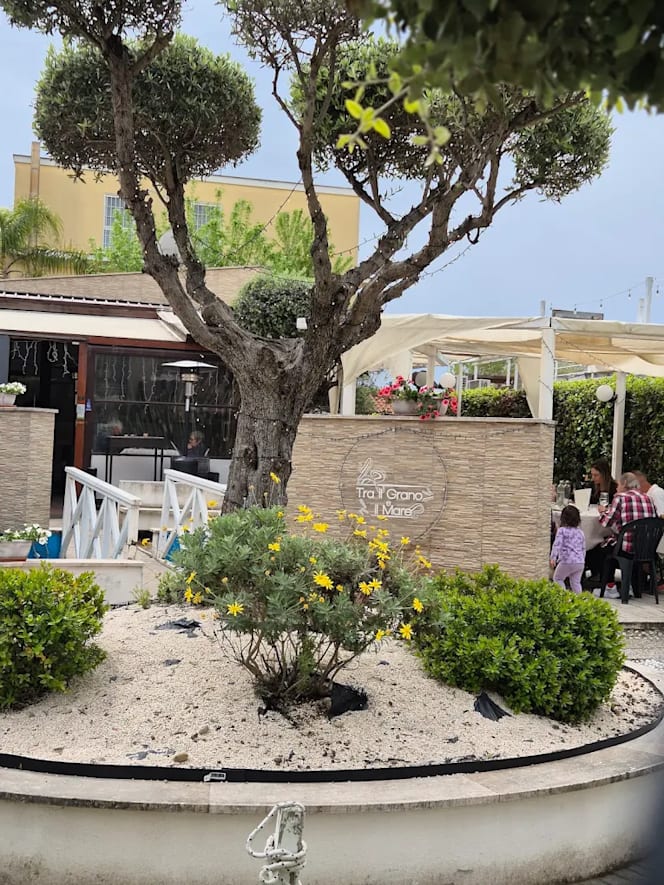 Tra il Grano e il Mare - 8