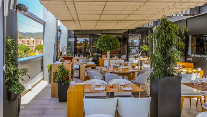 Schwaiger Xino's - 1