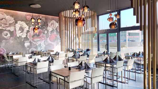 Aijo by tokyo - Collegno - 8