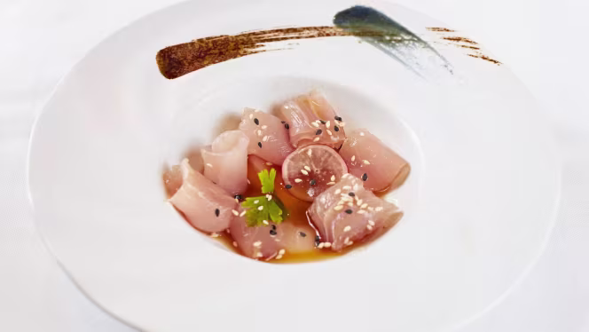 Aijo by tokyo - Collegno - 3