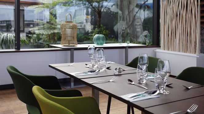 Là-haut, Brasserie de l'Aquarium - 8