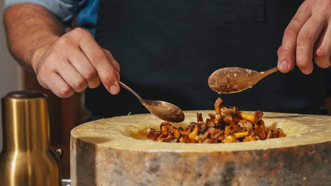 Casa de Vivi - Fauna - 7