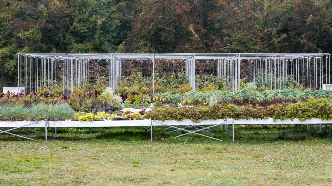 A l'Epicerie - Chantilly - 8