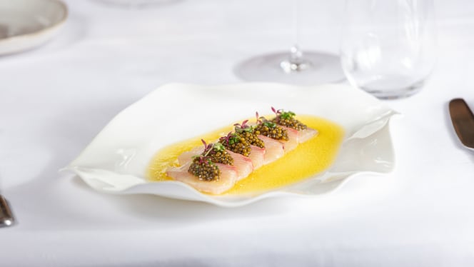 Crudo7 – Fine Levantine Cuisine - Geneve - 3