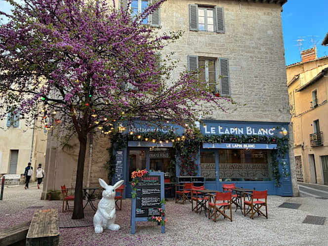 Le Lapin Blanc - Avignon - 1
