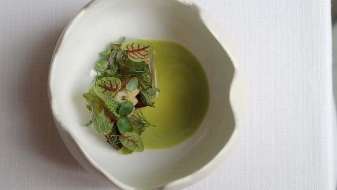 Cucina di Sintesi - 2