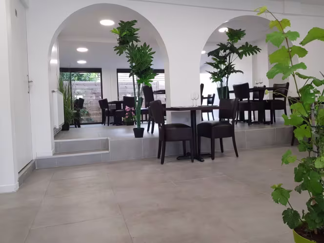 Feuilles de Vigne - 5