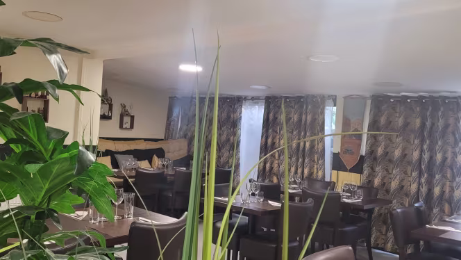 Feuilles de Vigne - 2