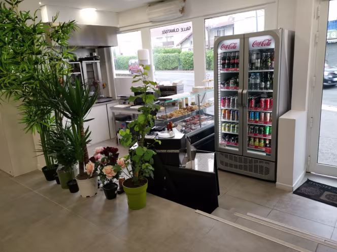 Feuilles de Vigne - 4