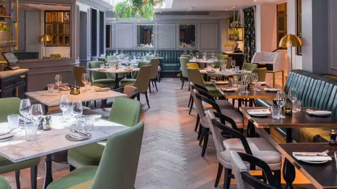 Hans' Bar and Grill - 0