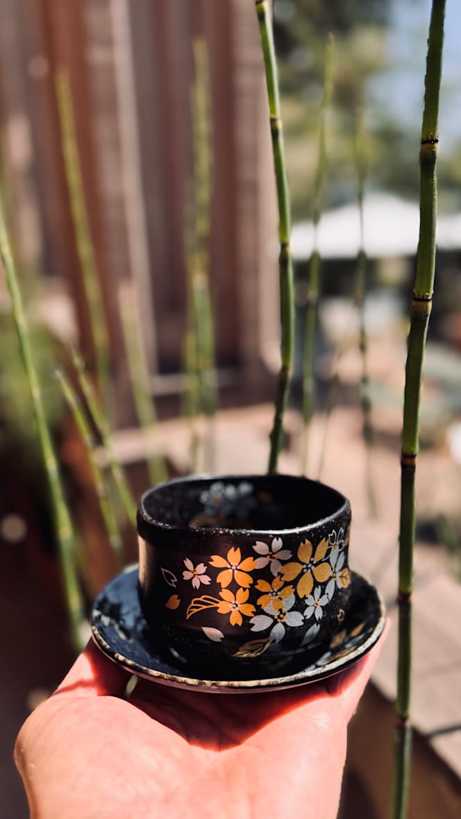 Kitsuné & Tanuki - 5