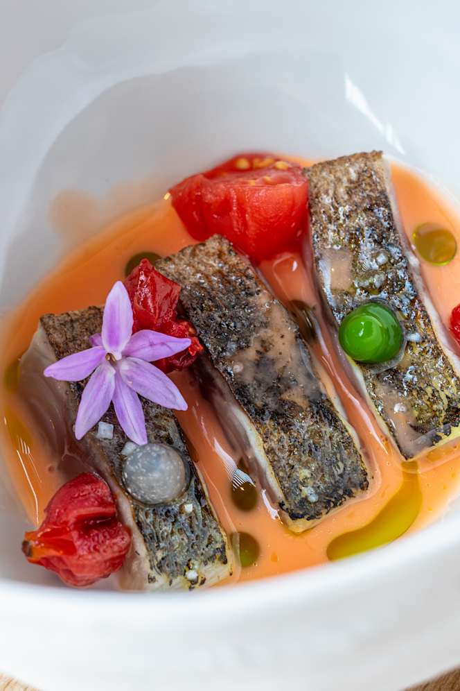Restaurante Hábito - 9