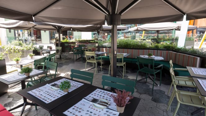 Tapa Tapa - Glòries - 5