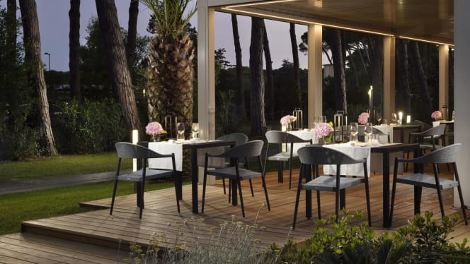 Granace - Grano & Brace - 6