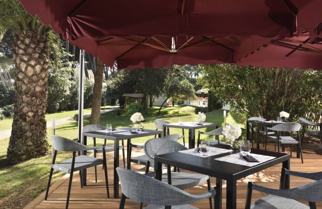 Granace - Grano & Brace - 8