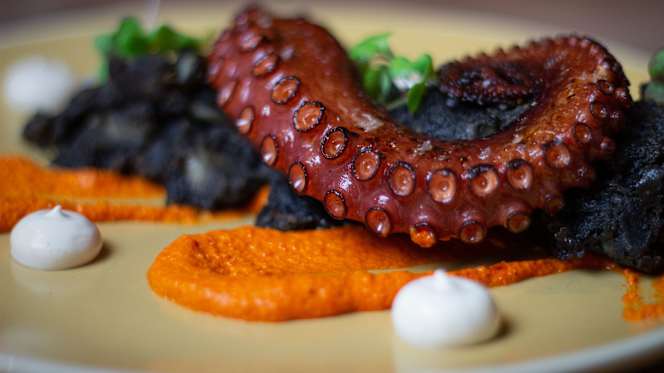 Canalla Food & Drinks - 0