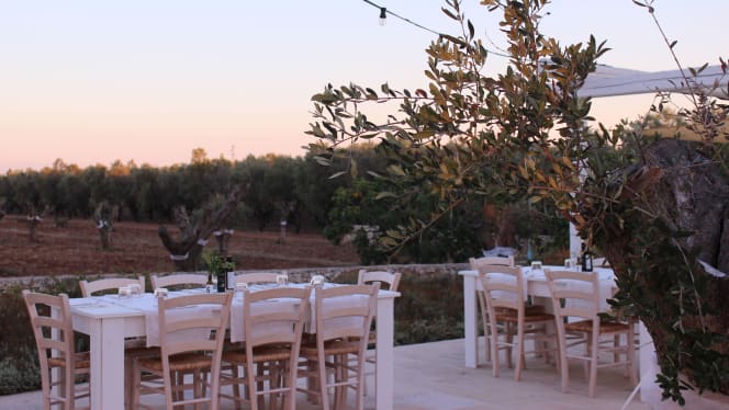 TerreAmare Agriturismo - 8