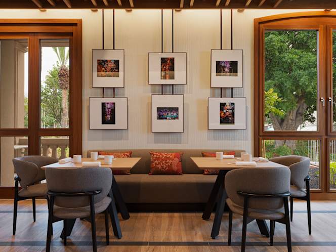 OKA by Ricardo Sanz - 4