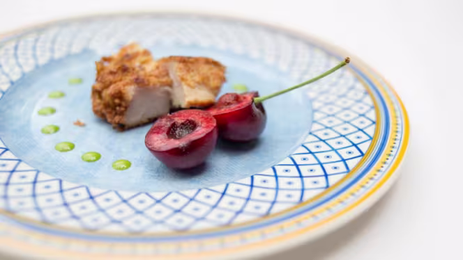 Huis de Colvenier - Antwerpen - 4