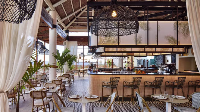 Pico Negro Cocktails&Grill - Only adults - 9