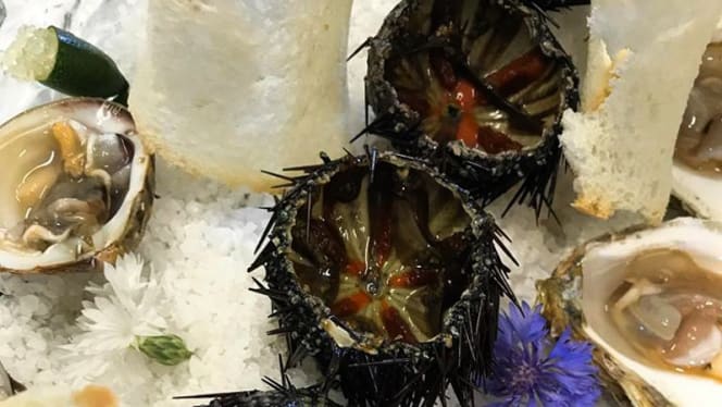 Globus Beach 255 - 1