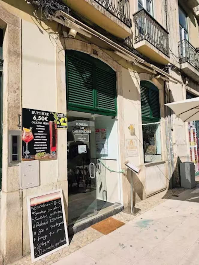 Floresta do Cais do Sodre - 1