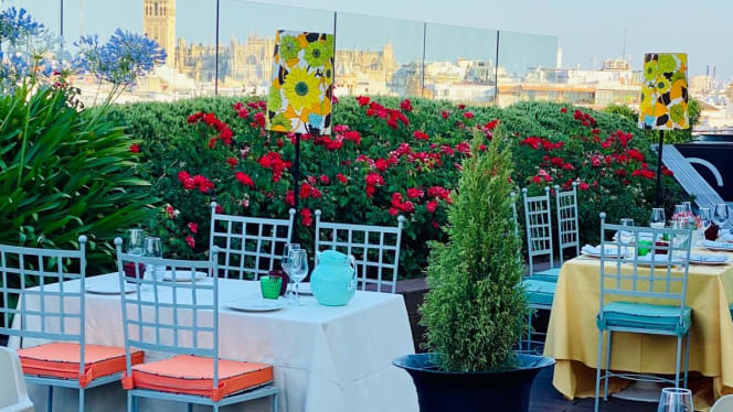 Manolo León Plaza del Duque - 3