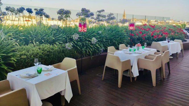 Manolo León Plaza del Duque - 1