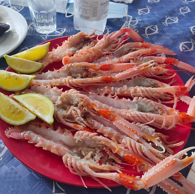 Taverna del pesce - 9