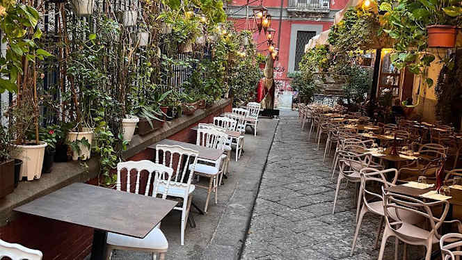 Insolito Cucina & Pizzeria - 8