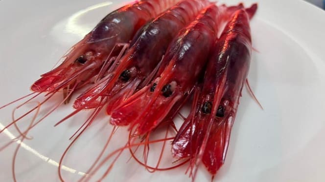 Manolo Mayo Sevilla - 2