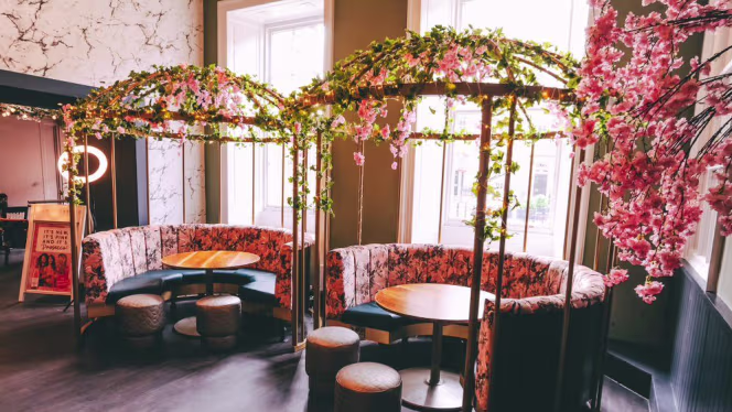 Slug and Lettuce Edinburgh George St - Edinburgh - 4