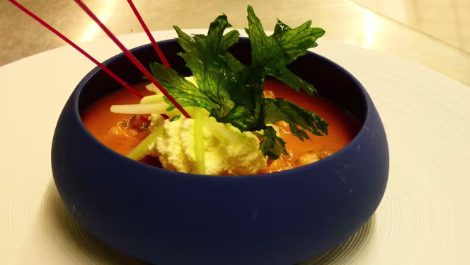 Les Gorges de l'Aveyron - 4