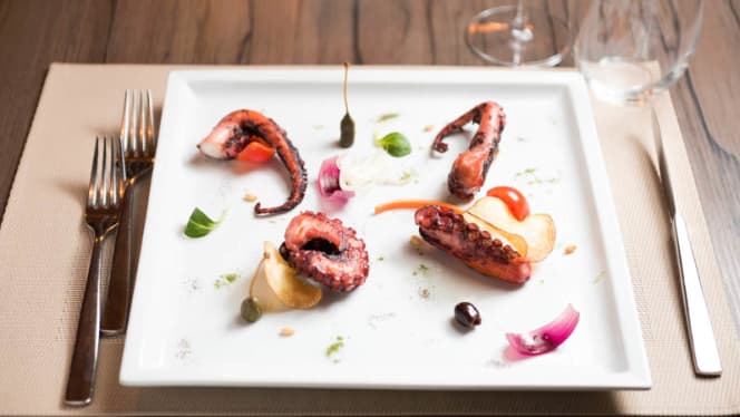 Barracudino Easy & Chic - 9