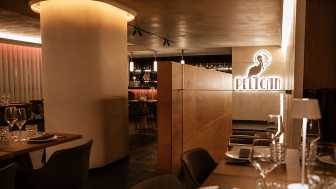 Pelican Gabriel Miró - 4