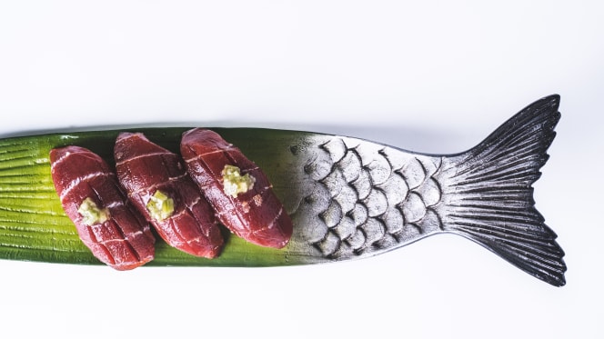 Pelican Gabriel Miró - 3