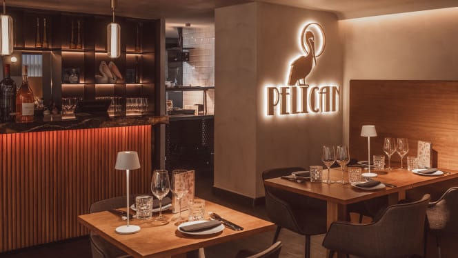 Pelican Gabriel Miró - 5