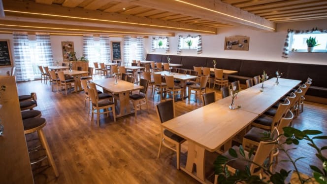 Dicke Katze im goldenen Löwen - 2